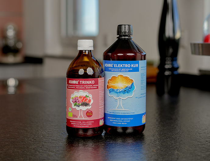 „Eure Lebensmittel sollen eure Heilmittel sein.“ Das Bild zeigt zwei Sojall Produkte in dunklen Glasflaschen. Links steht, in Rot, Sojall Trinko und Rechts steht, in blau, Sojall Elektro Kur. Beide Flaschen stehen auf einem Tisch in der Küche. Die Platte ist schwarz.